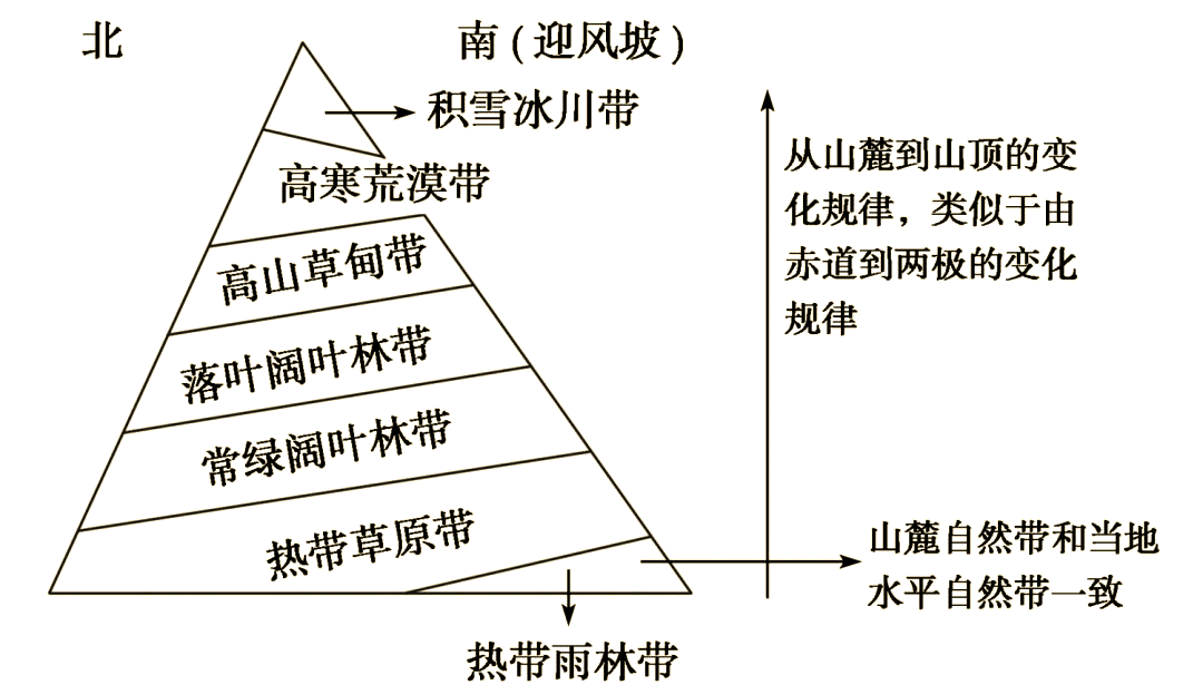基带,即高山山麓的自然带,因其位于垂直自然带的最底层而得名