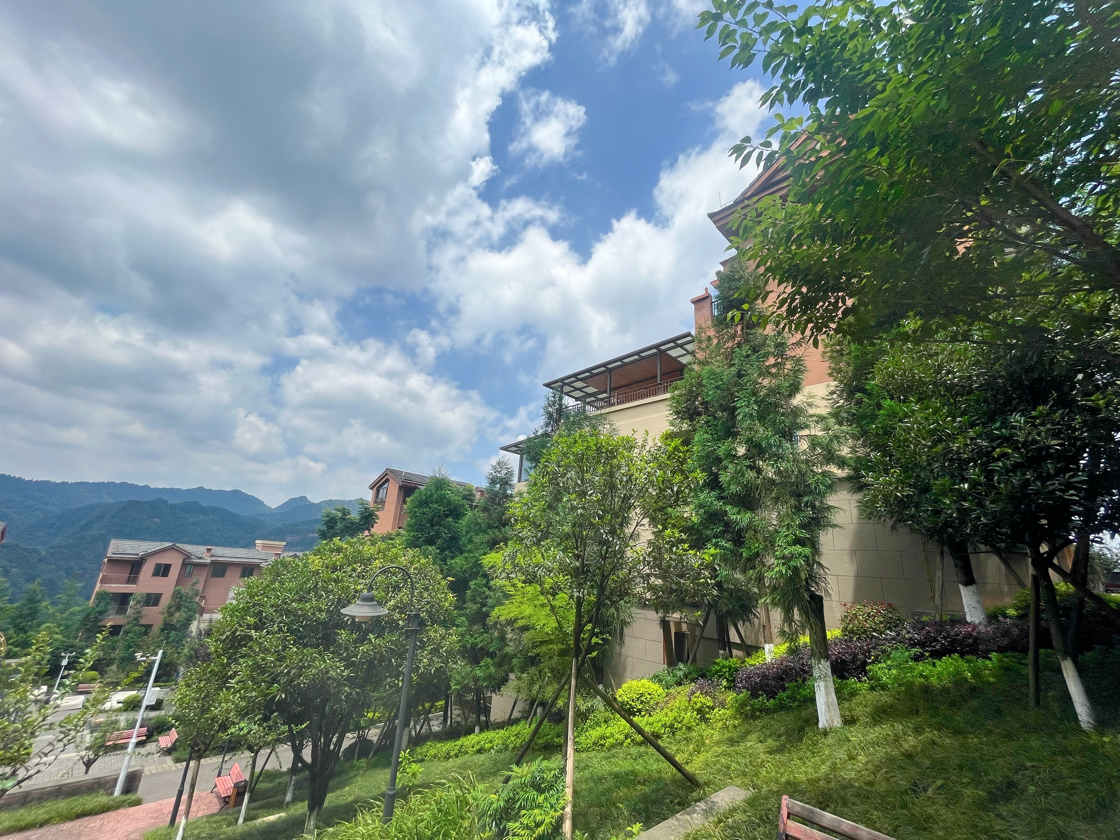 江津四面山避暑房,堪称重庆普罗旺斯花海,夏天享受23°c的清凉!