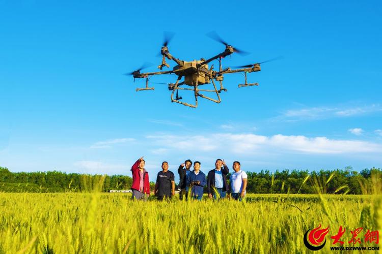 山东省乡村振兴突出贡献奖先进个人——马建海