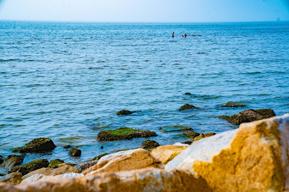 龙口海边景点图片图片