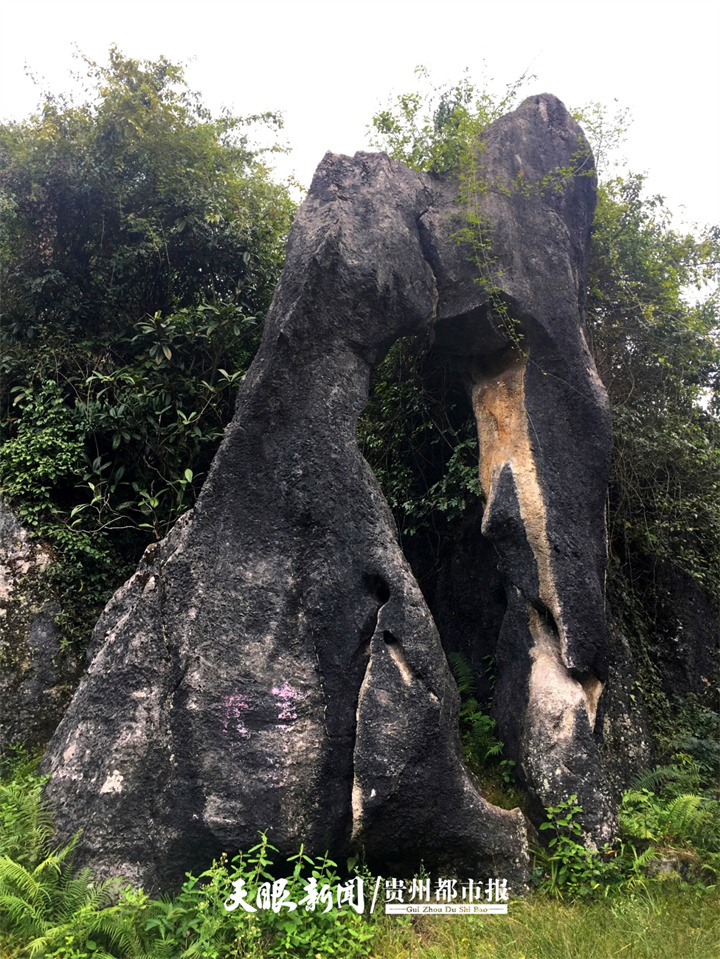 山水奇,文化深,資源豐,修文這處