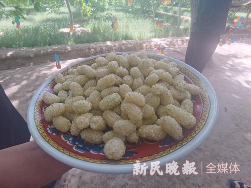 叶城美食图片