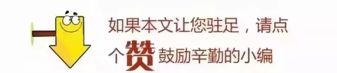 7777788888王中王开将_大赛掠影｜辽宁省巾帼家政服务职业技能大赛母婴护理员比赛  第2张