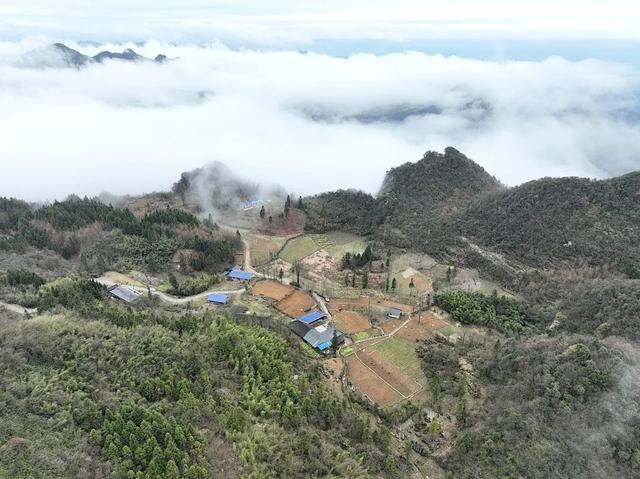 换个视角看中国粽叶之乡