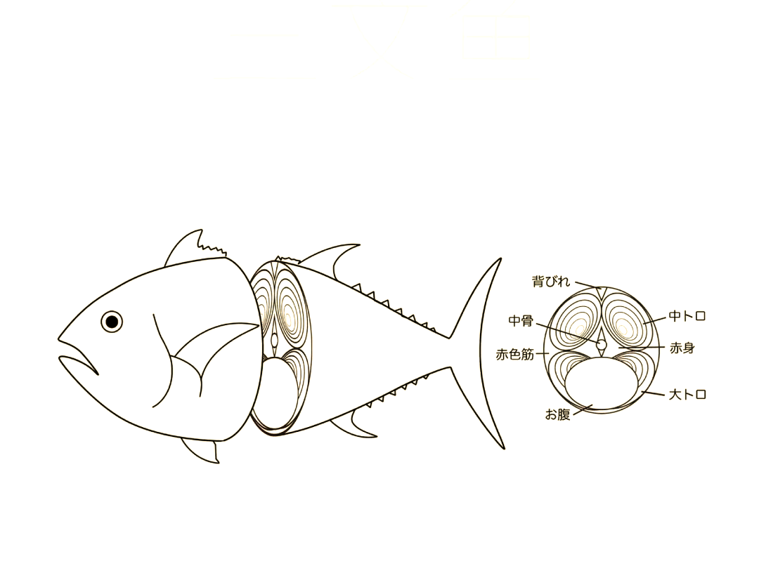 品牌设计中的多样"鱼"元素应用