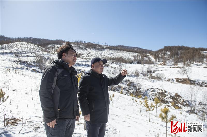 全国脱贫攻坚楷模塞罕坝机械林场探访:让"绿水青山"带富更多百姓
