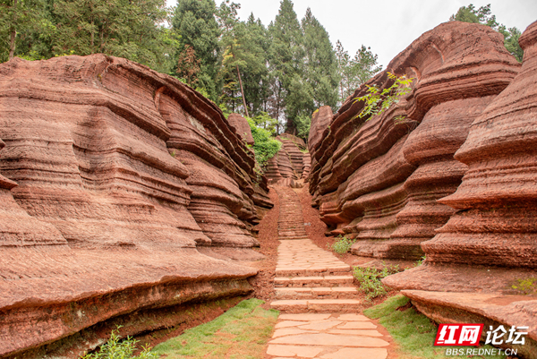 五亿年前的海底世界,探寻秘境湘西古丈红石林