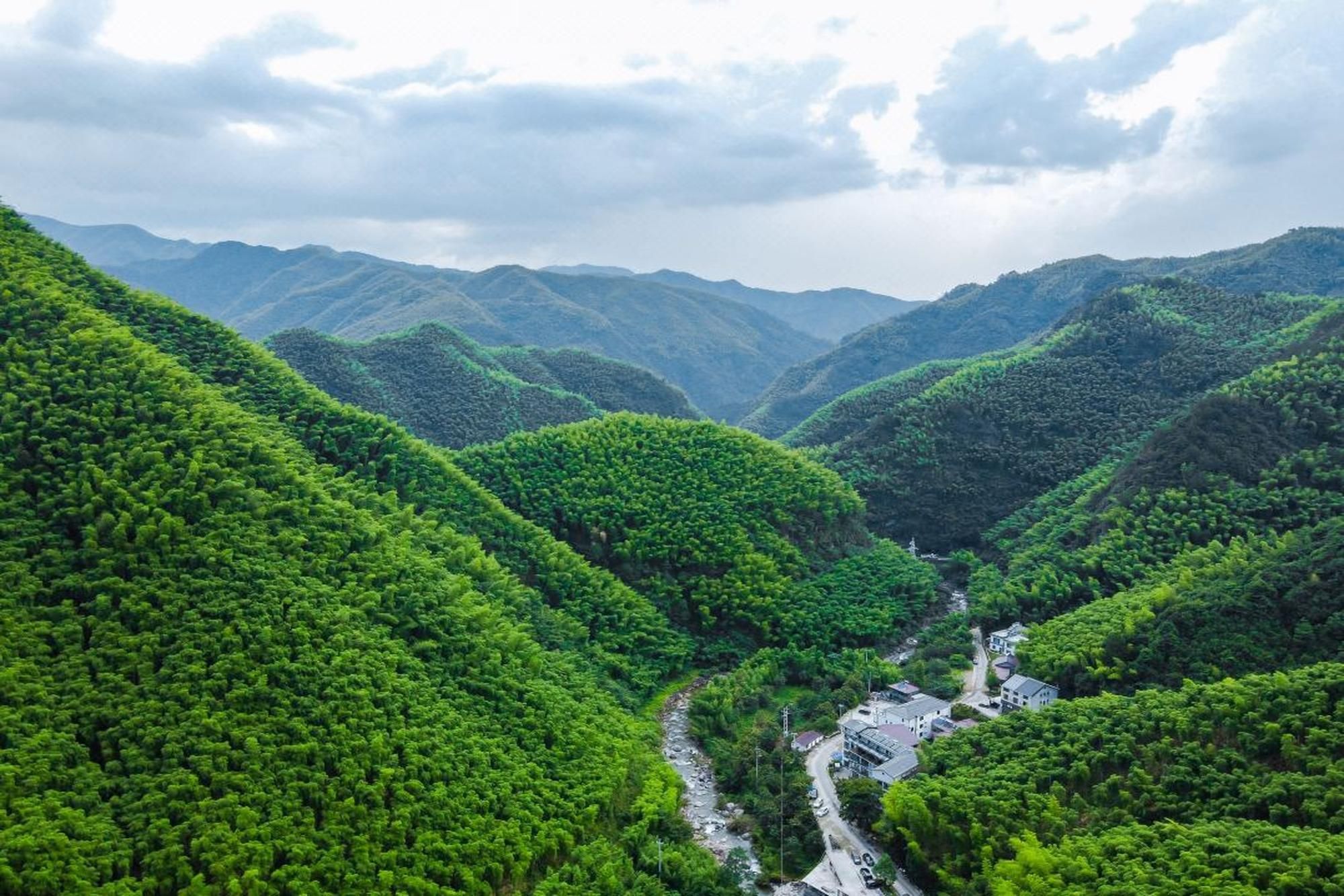 房源介绍「安吉山风竹韵2楼5间」