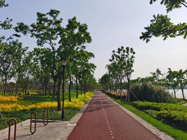 浦东前滩休闲公园实拍