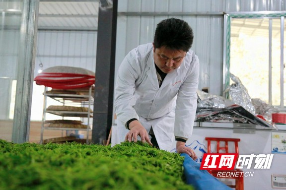 保靖:致富"领头羊"熊国森带领群众共奔致富路