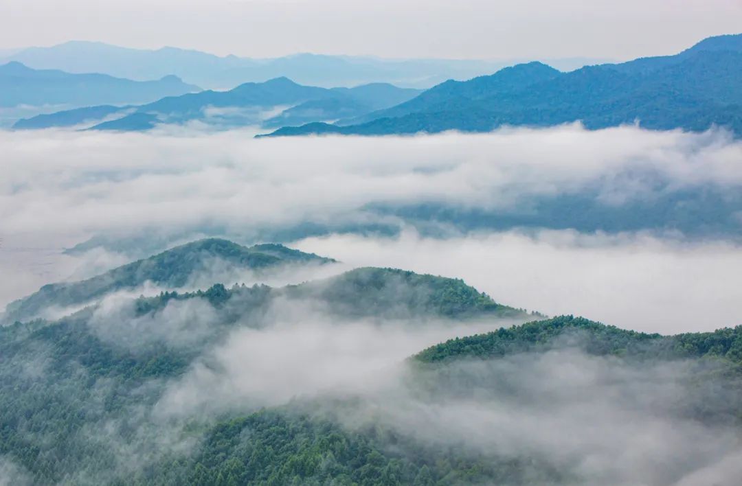 林都伊春|金祖峰上拍云海