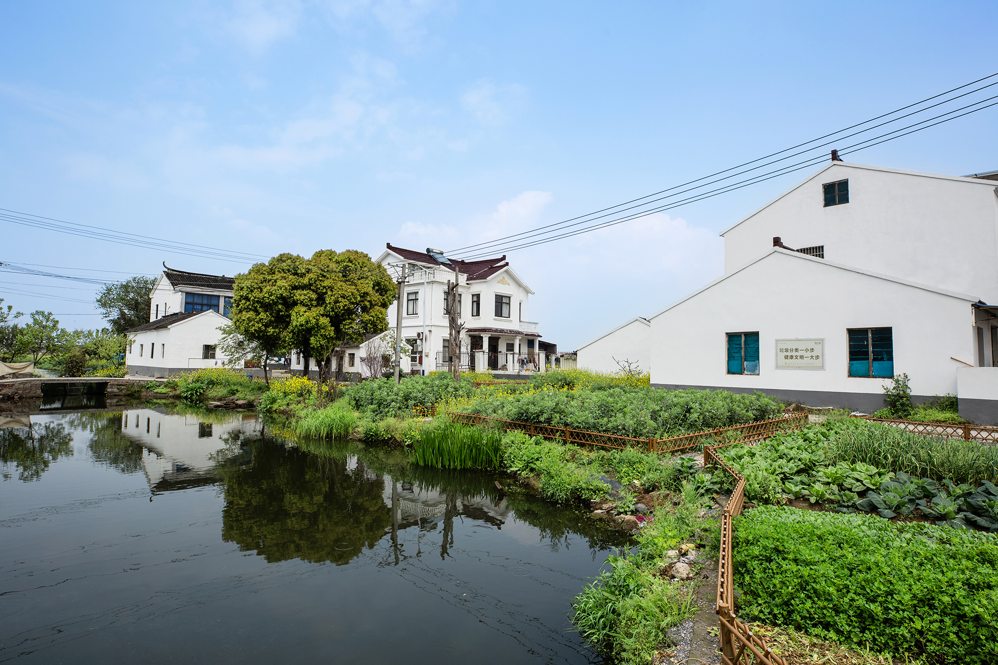 石桥村:旧村换新貌,村民露笑颜