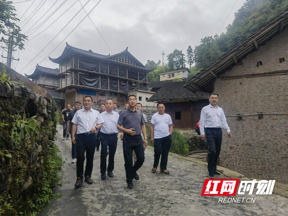 湘西州自然资源和规划局赴花垣县张刀村调研乡村振兴工作