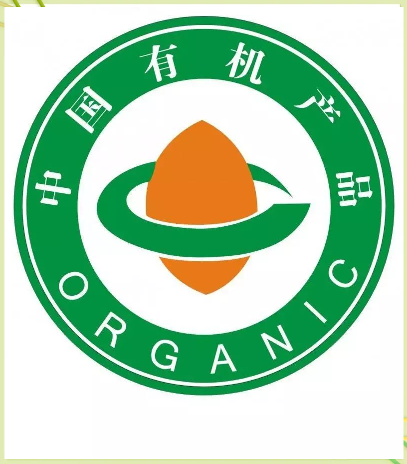 蔬菜种植基地：现代农业的新篇章