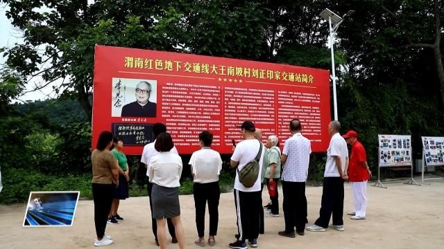 临渭区阳郭镇苌坡村:四季如卷"画"美景 清幽宁静绿盎然