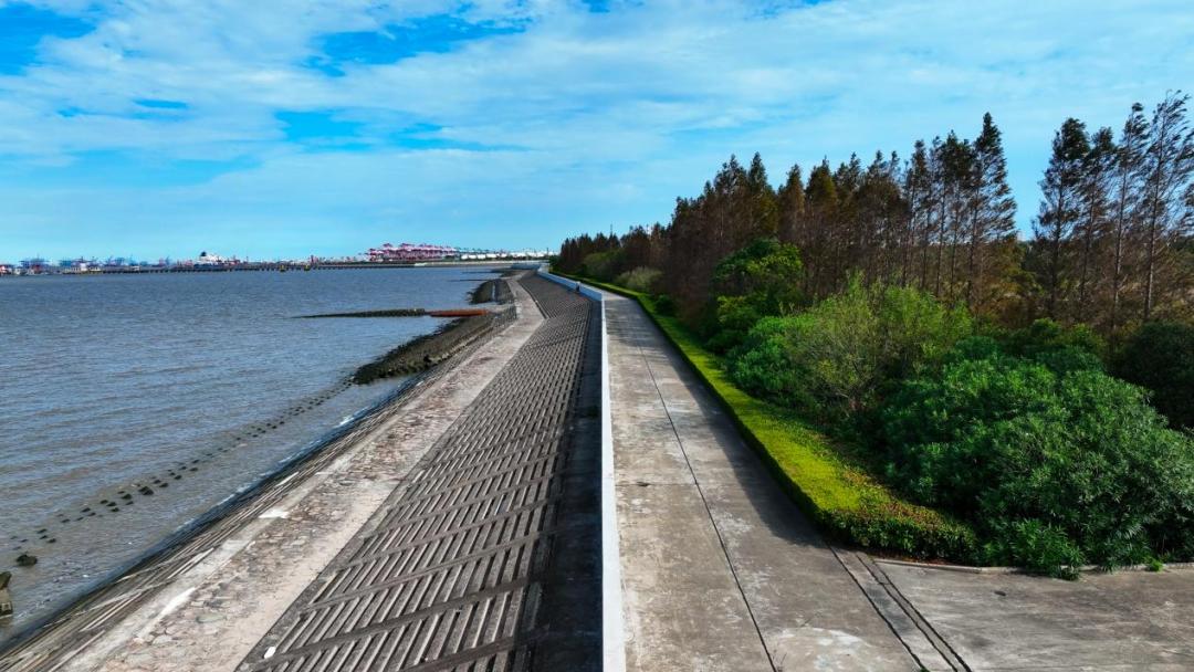 千里海塘丨浦东海塘