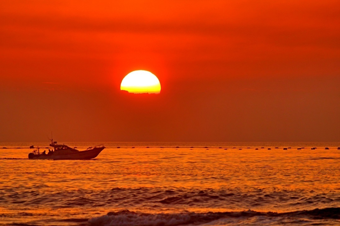 日照:夏日滨海别样美