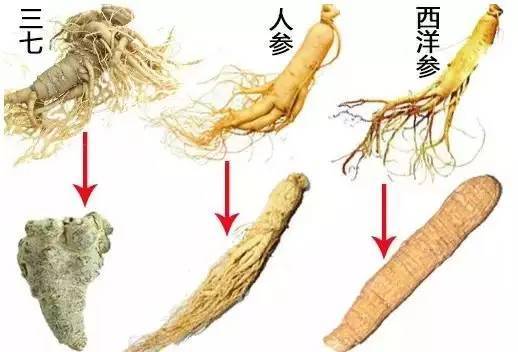 西洋參和人參,功效不一樣,哪個補氣?哪個養陰?聽中醫怎麼說