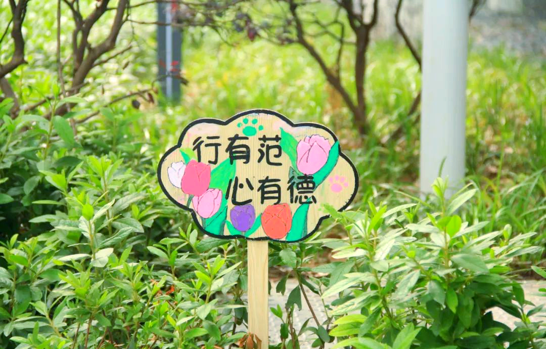 校园角落的文明标语牌,美化心灵从你我做起