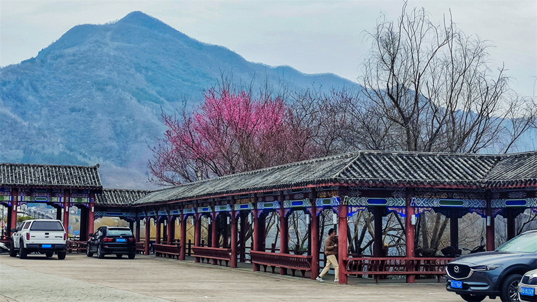 陕西石泉:后柳水乡春意渐浓