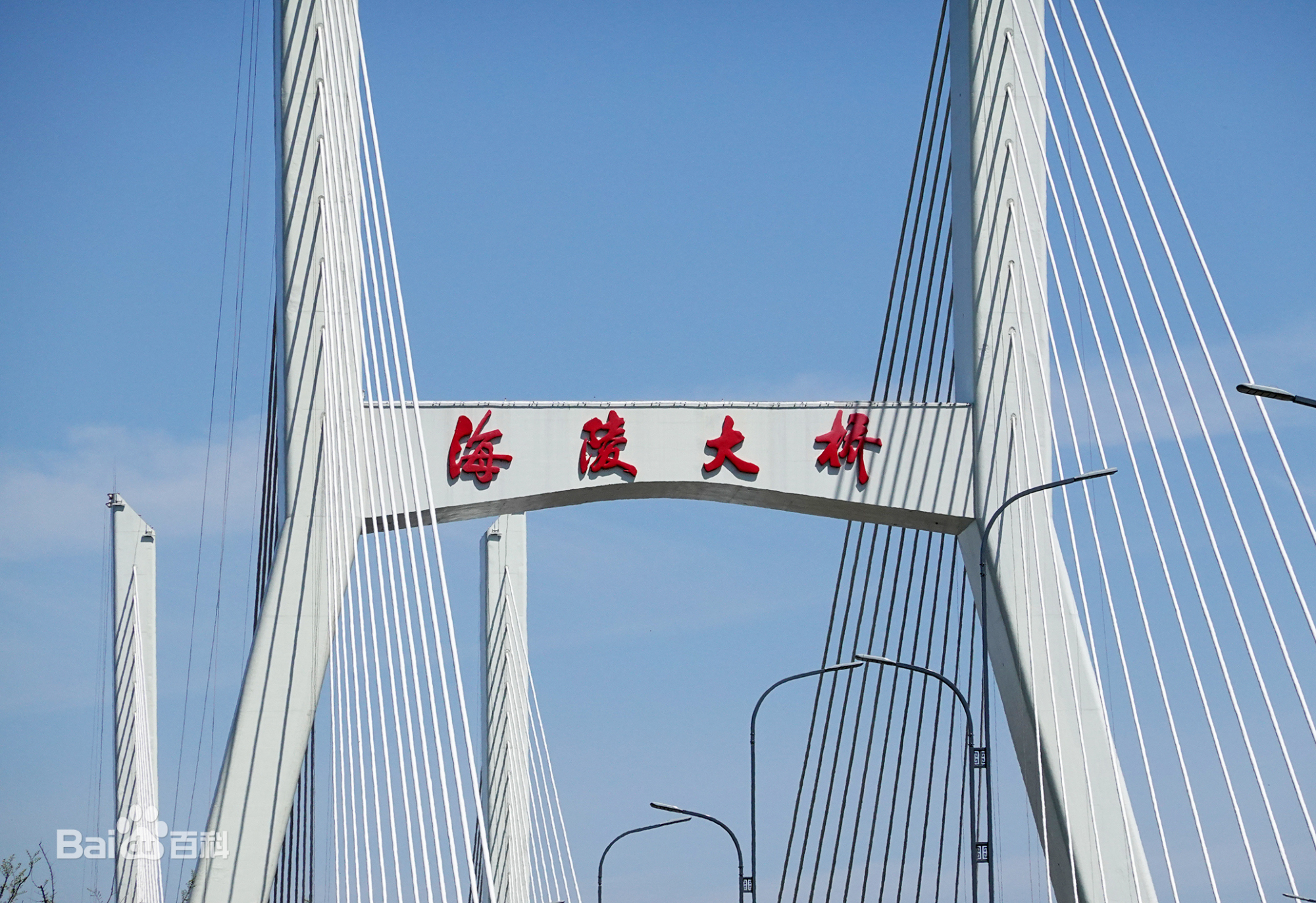 泰州海陵大桥存隐患!重卡驶过桥身震感明显