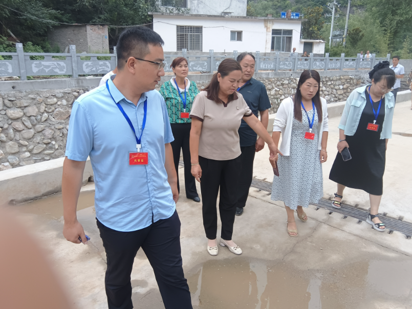 西峡县桑坪镇第一美女图片