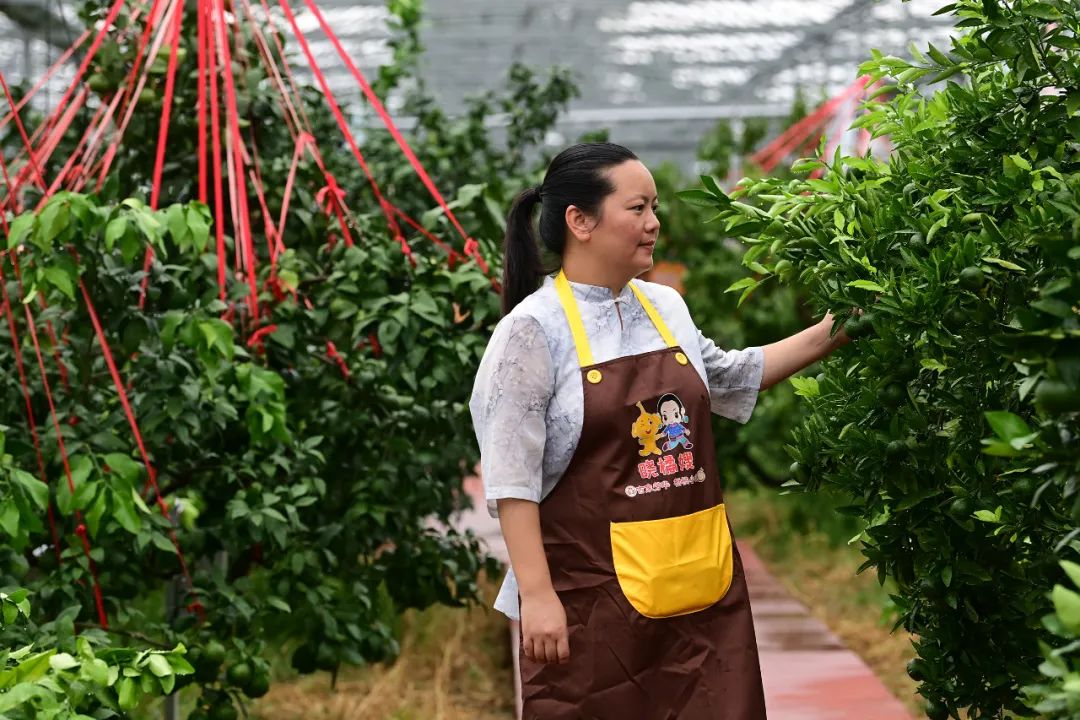 红船女儿图片