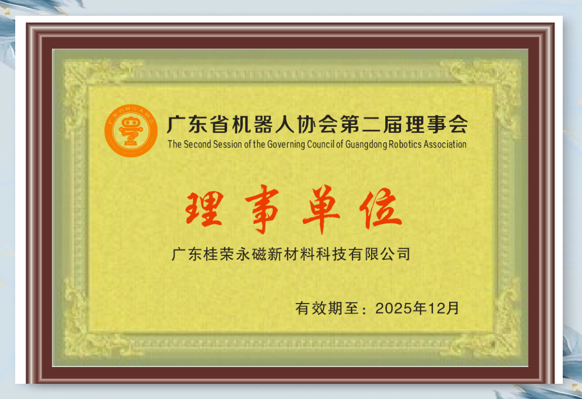 2025广州市人工智能与机器人应用高峰论坛：广州机器人协会如何推动医疗健康场景落地