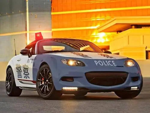 跑车"穿上"中国警服,老司机:放眼天下警车,唯有中国最霸气!