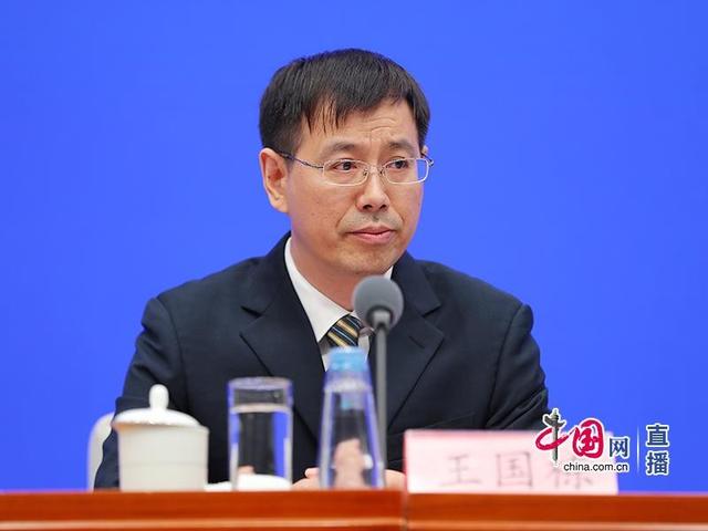 国家医疗保障局医药价格和招标采购司负责人王国栋 中国网郑亮/摄