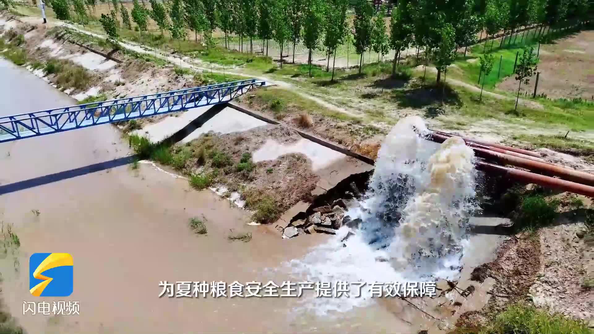 当"夏播"遇上高温 看菏泽郓城"解渴"有方