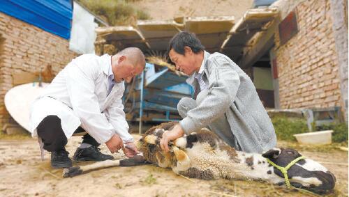 給村民家生病的羊打針