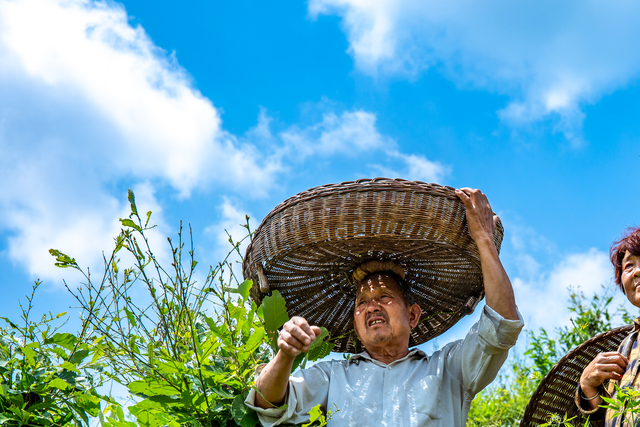 鲁山笑市炳辉怎么回事图片