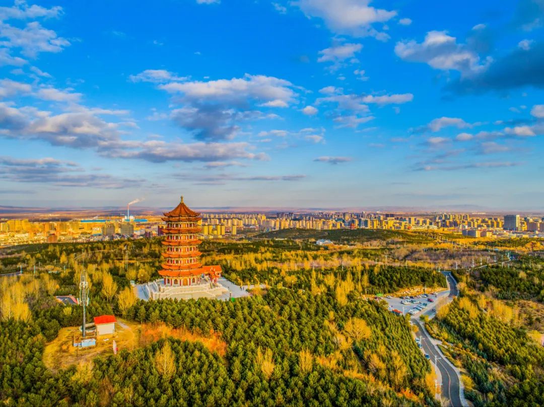 乌兰察布,再添新荣誉!