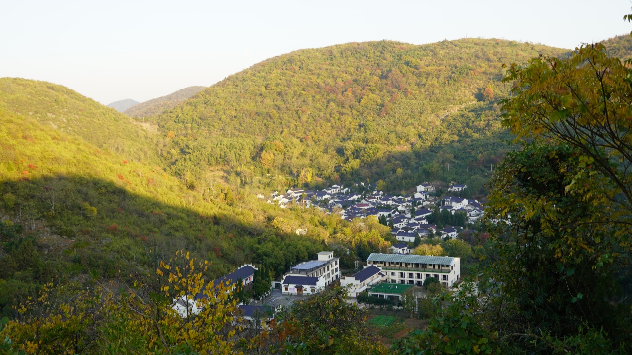 南陵何湾龙山村景点图片