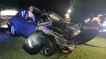 87岁车主身亡！特斯拉Autopilot系统失控：撞上配电箱后沉入池塘