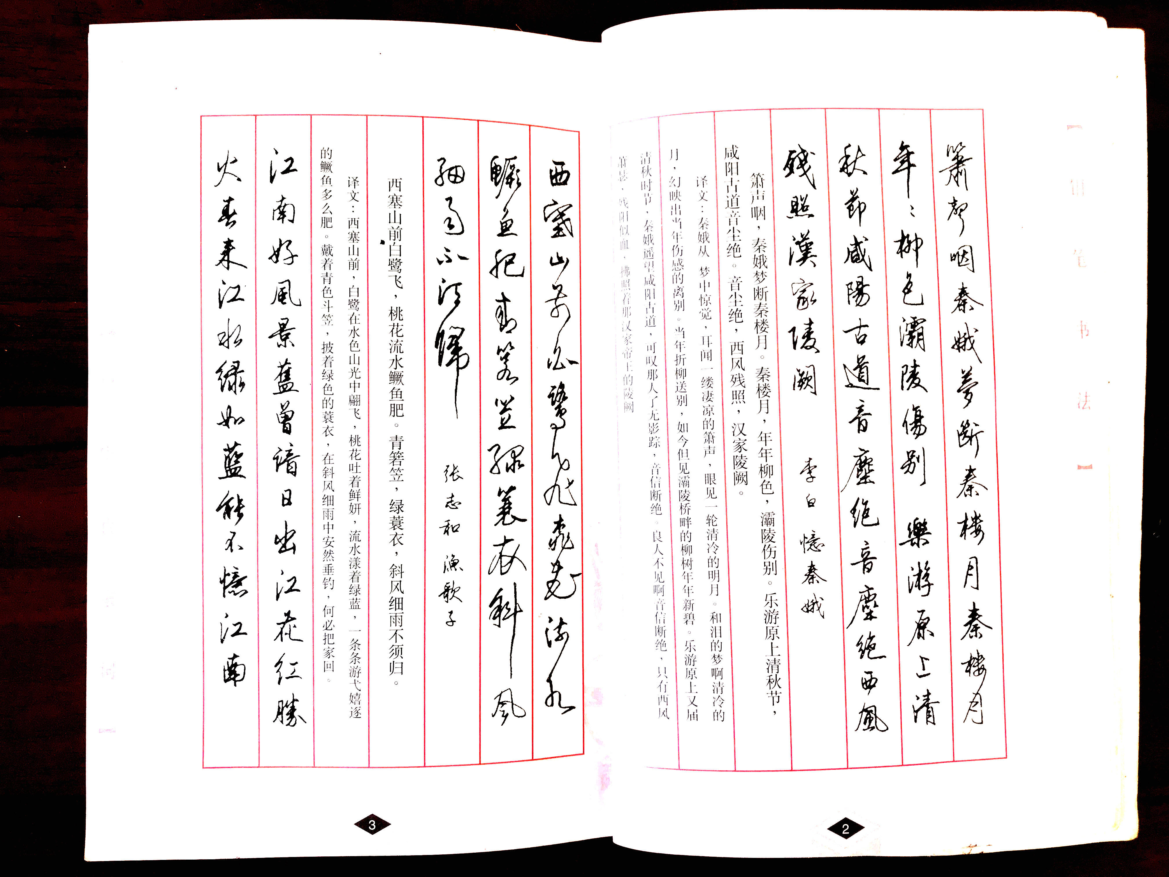 梁鼎光先生钢笔书法,灵活飞动,宛如天外飞书