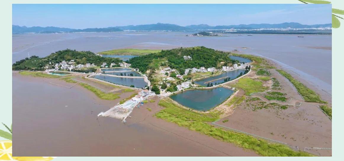 小岛茅坦村:海山乡宁静与传统魅力