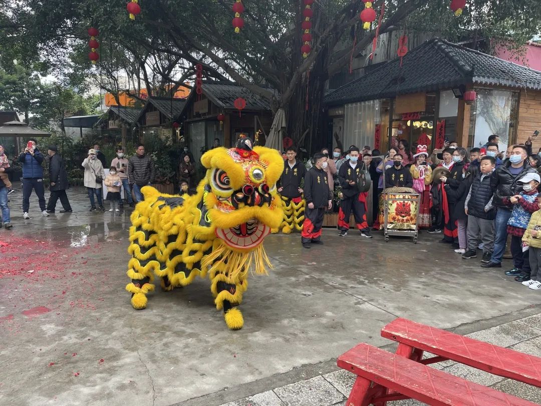 锣鼓喧天南屏醒狮闹虎年