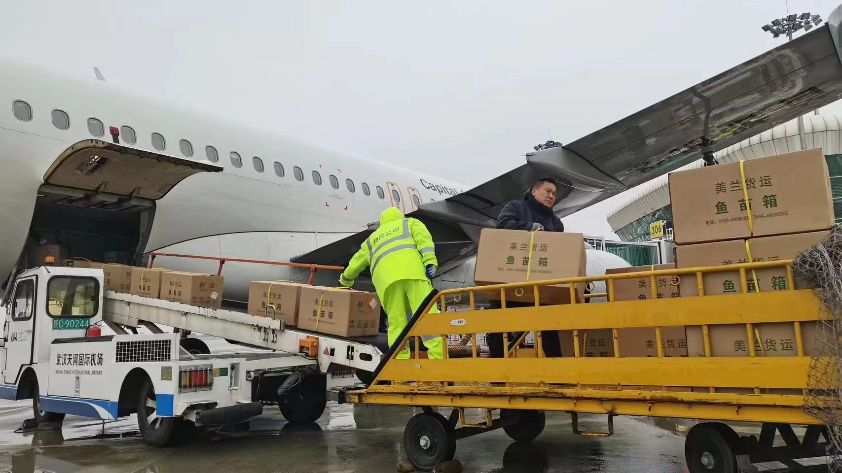 "双十一"当日武汉天河机场货物总量超120吨