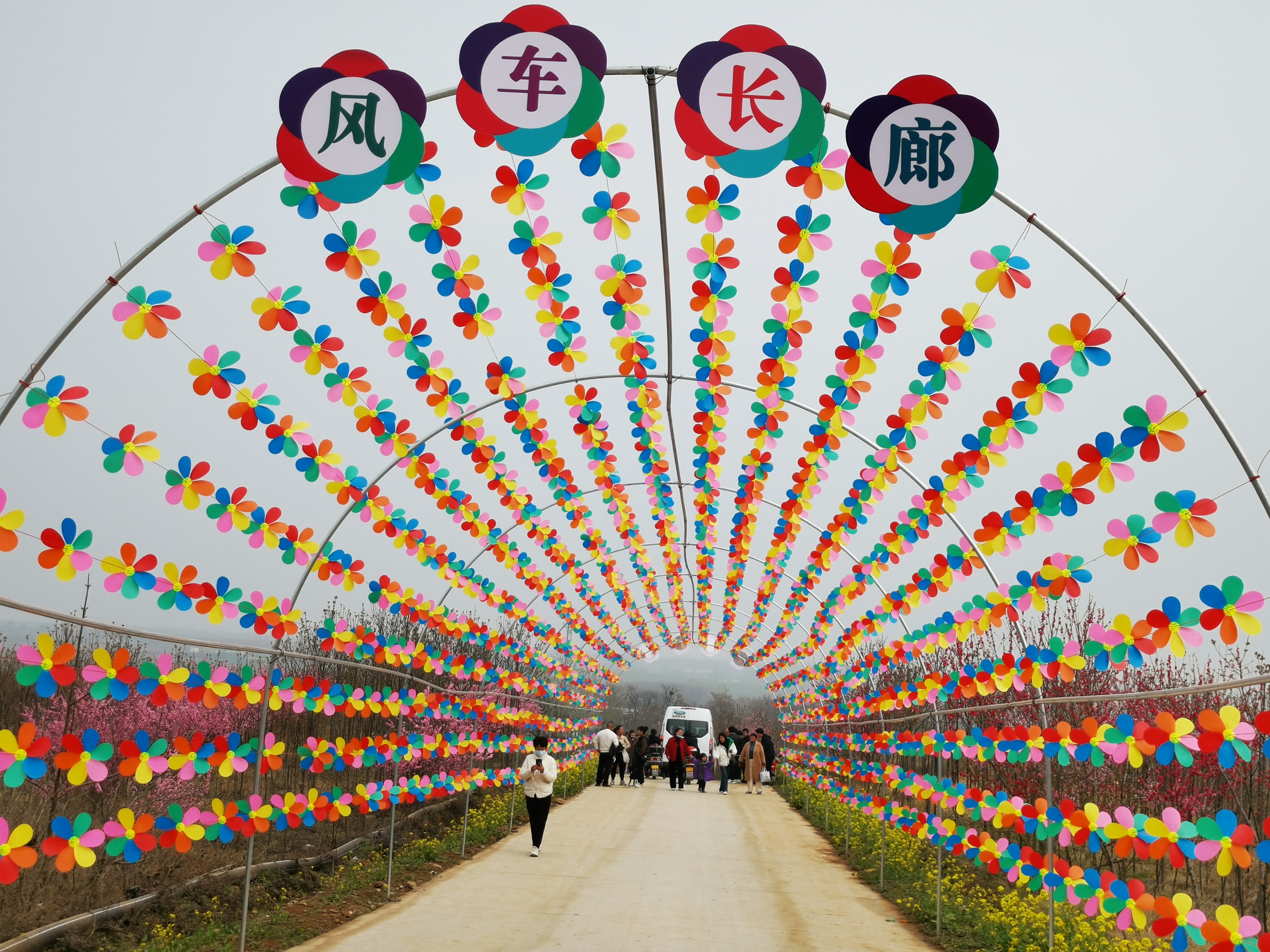 禹州市方岗镇:桃花节里唱红生态戏