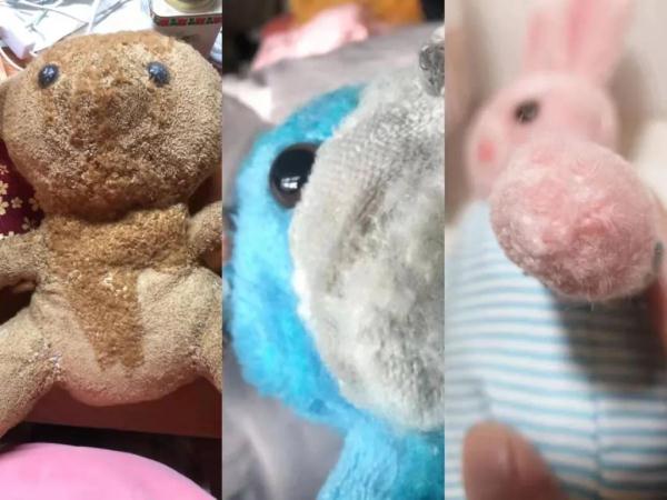 收8800元还修坏了?曾温暖全网的玩偶修复师朱伯被质疑,本人回应