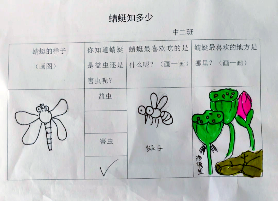 南京市大厂实验幼儿园:探索昆虫世界中的蜻蜓之旅