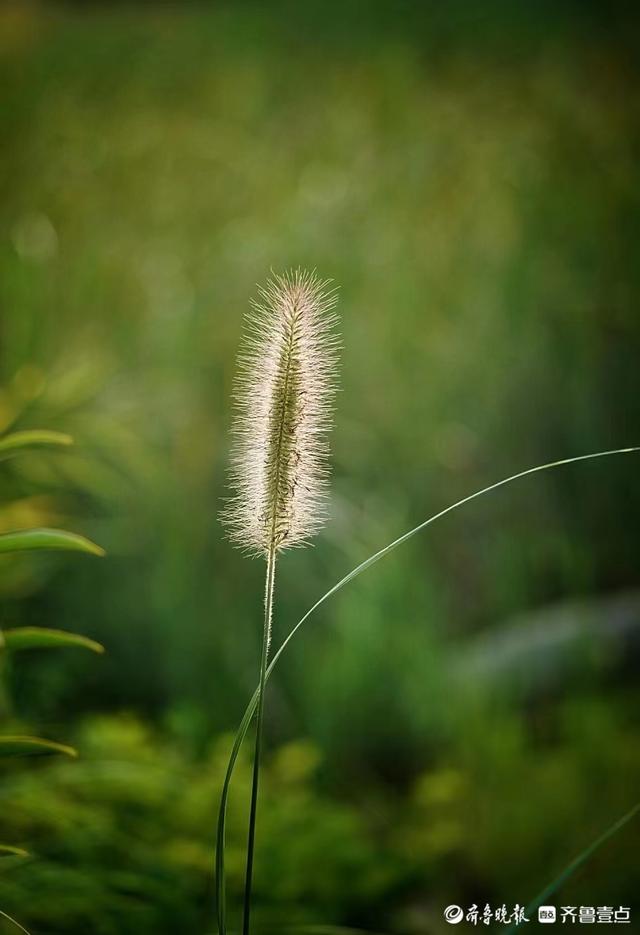 華山湖