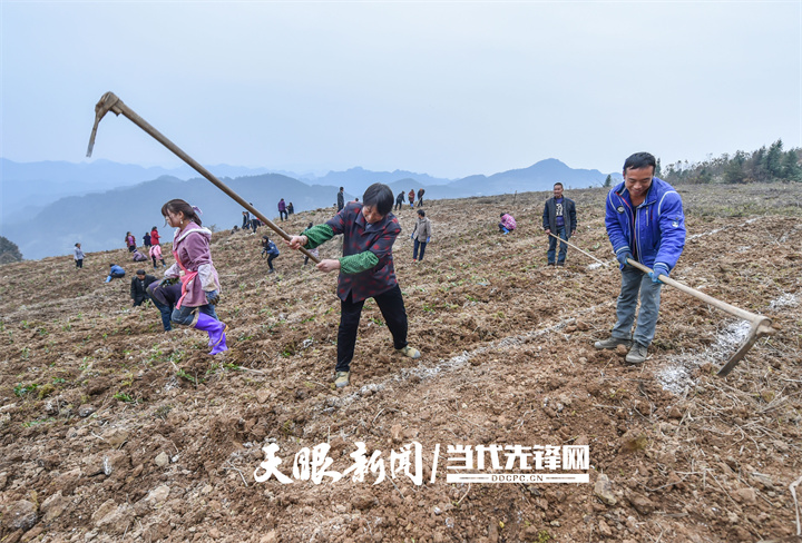 松桃黄板镇图片