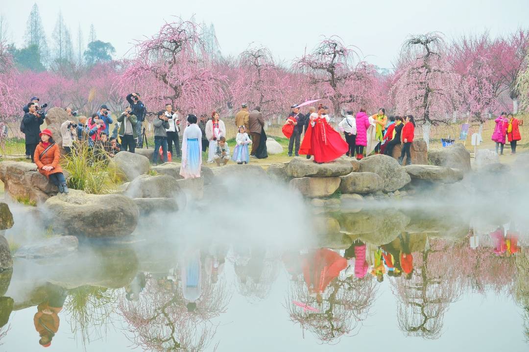 又見花開都江堰 成都都江堰市6條春季精品旅遊線路等你來打卡