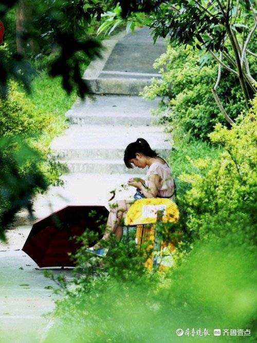 韩庆云|静心度三伏