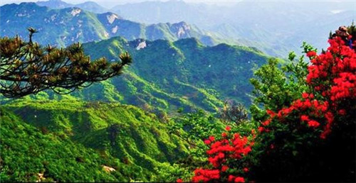 大别山海拔是多少?