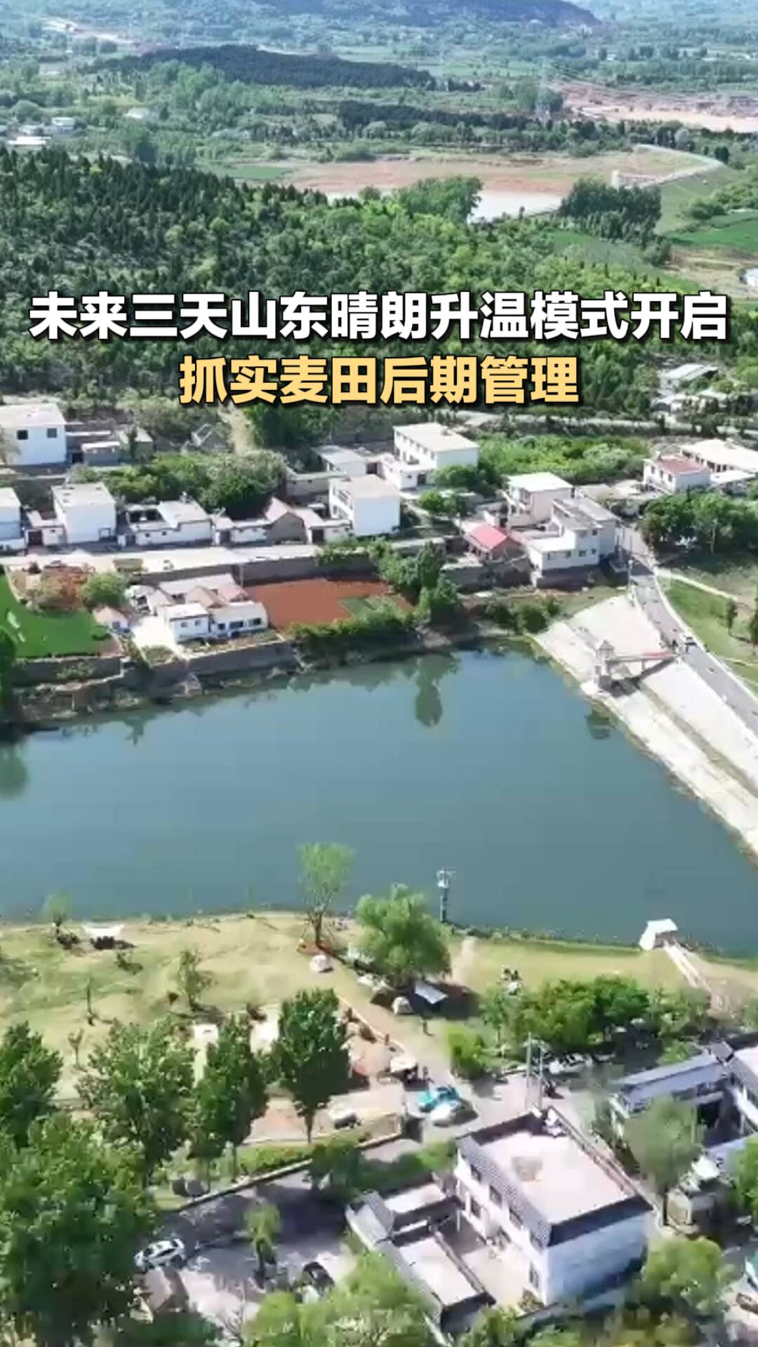未来三天山东晴朗升温模式开启 抓实麦田后期管理