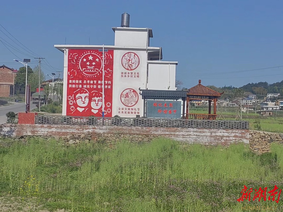 宁乡市龙田镇:美丽宜居村庄的"蝴蝶效应"